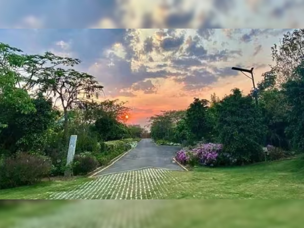 inside photos of ms dhoni farm house in ranchi tour of former captain ...