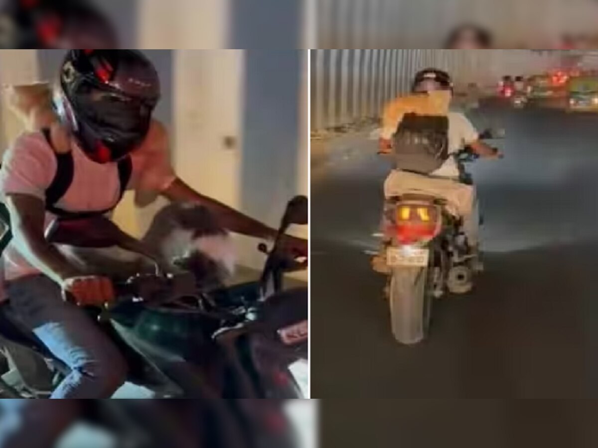 पालतू बिल्लियों को बाइक पर बैठाकर भागा लड़का, वीडियो देखकर भड़क गए लोग