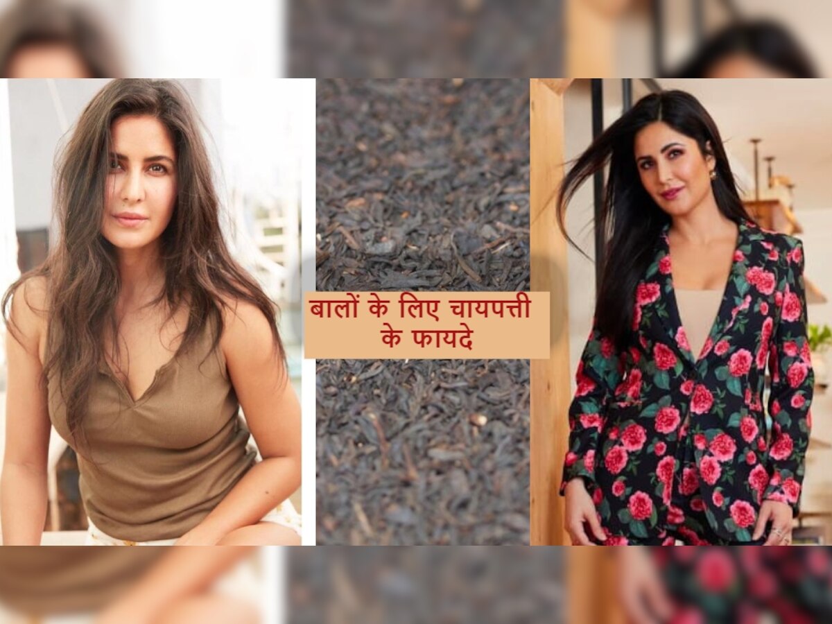 Hair Care: ऐसे करें चायपत्ती का इस्तेमाल, Katrina Kaif जैसे काले और खूबसूरत हो जाएंगे बाल