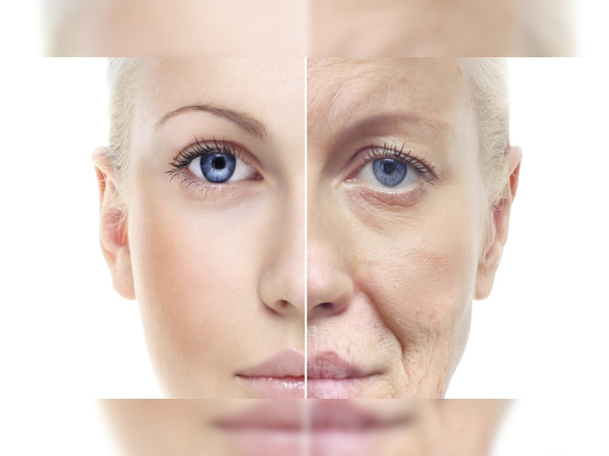 Wrinkles Home Remedies: चेहरे पर उम्र की लकीरों को दूर करती हैं ये चीजें, जवां त्वचा के साथ मिलेगा निखार
