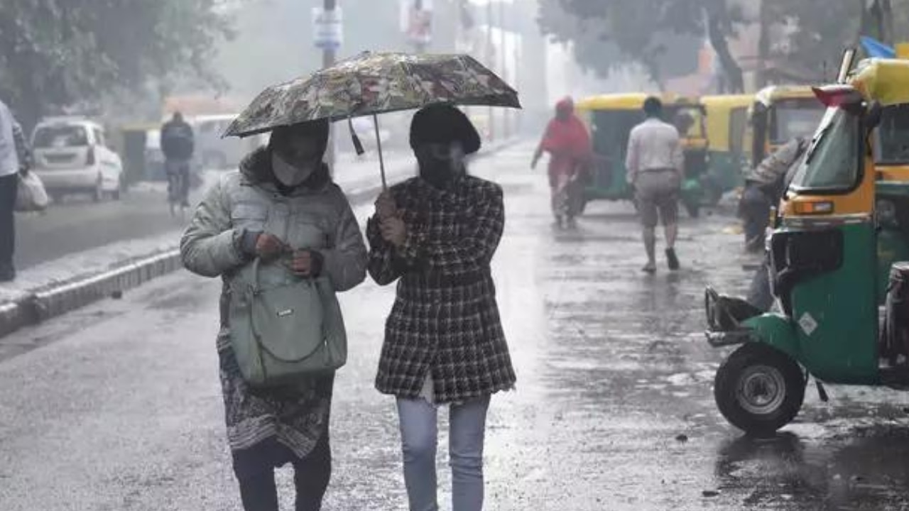 Weather Update: शीतलहर से राहत, मगर बारिश कर सकती है आफत; जानिए मौसम का हाल