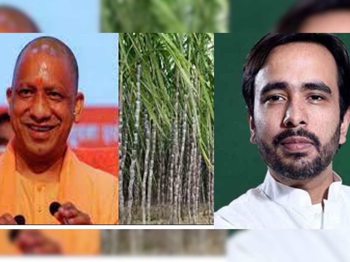 Sugarcane Price Issue in Uttar Pradesh