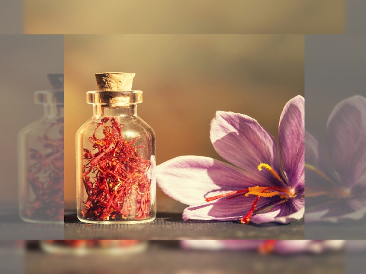 Saffron Water Benefits in Winter Kesar Pani Ke Fayde In Hindi sdmp