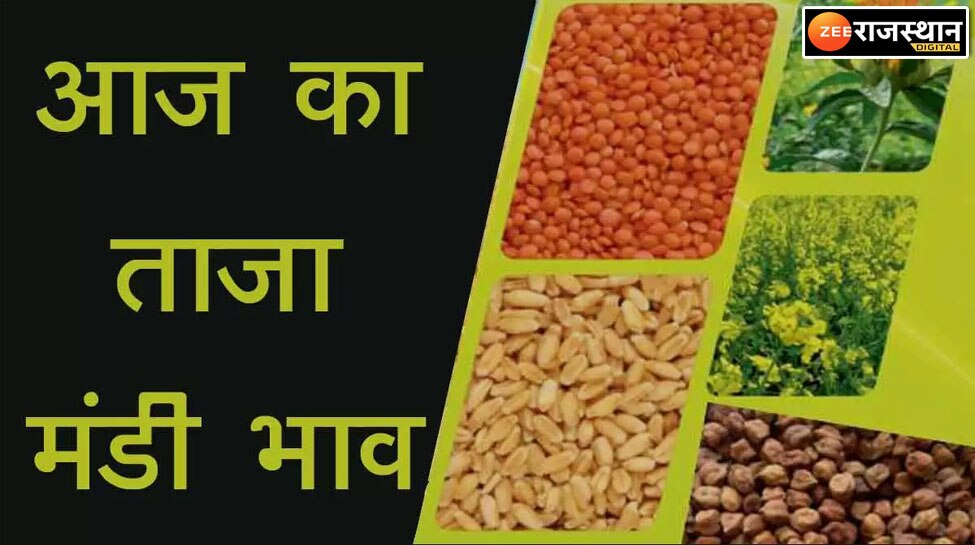 Mandi Bhav Today Change Prices Of Mustard Moong And Guar In Rajasthan ...