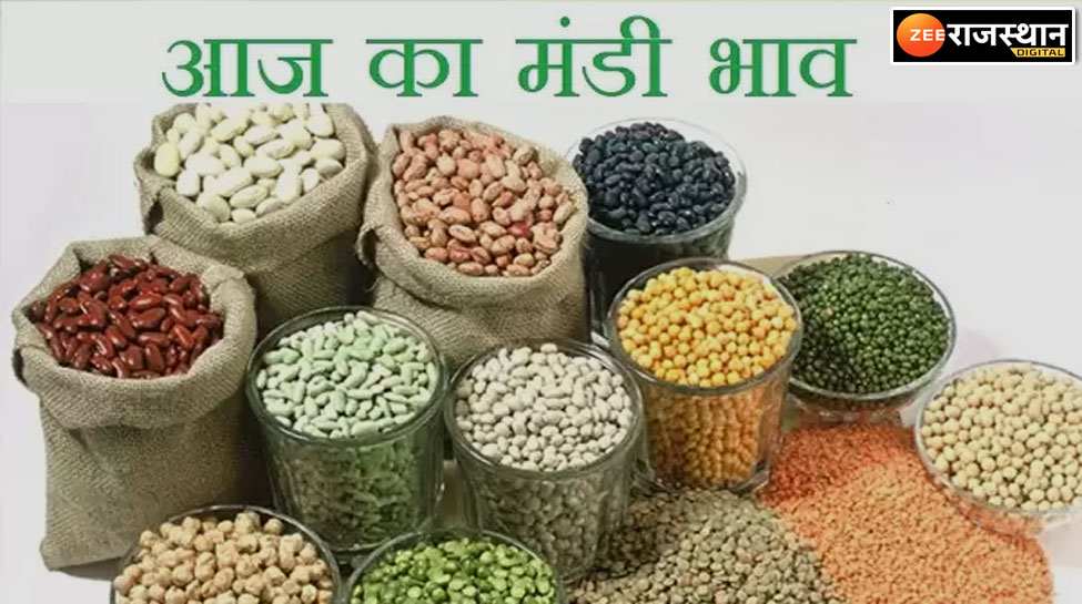 Mandi Bhav Today Change In Prices Of Wheat Moong Bajra And Guar In ...