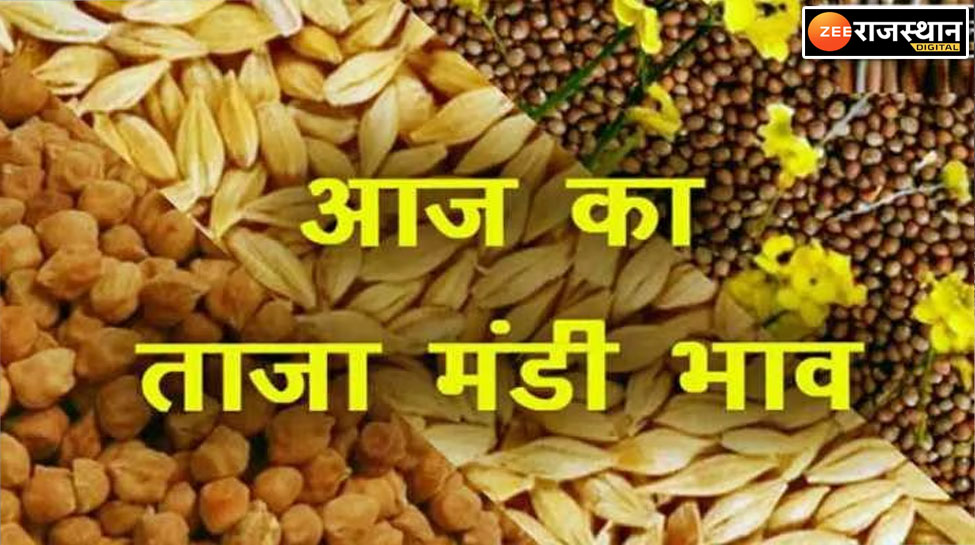 Mandi bhav today 24 january 2023 Changes prices of moong cumin gram and