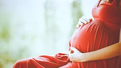 Bombay High Court on Pregnancy: ଆସିଲା ଐତିହାସିକ ରାୟ, ଗର୍ଭପାତ କରିବାର ଅଧିକାର କେବଳ ମା' ର