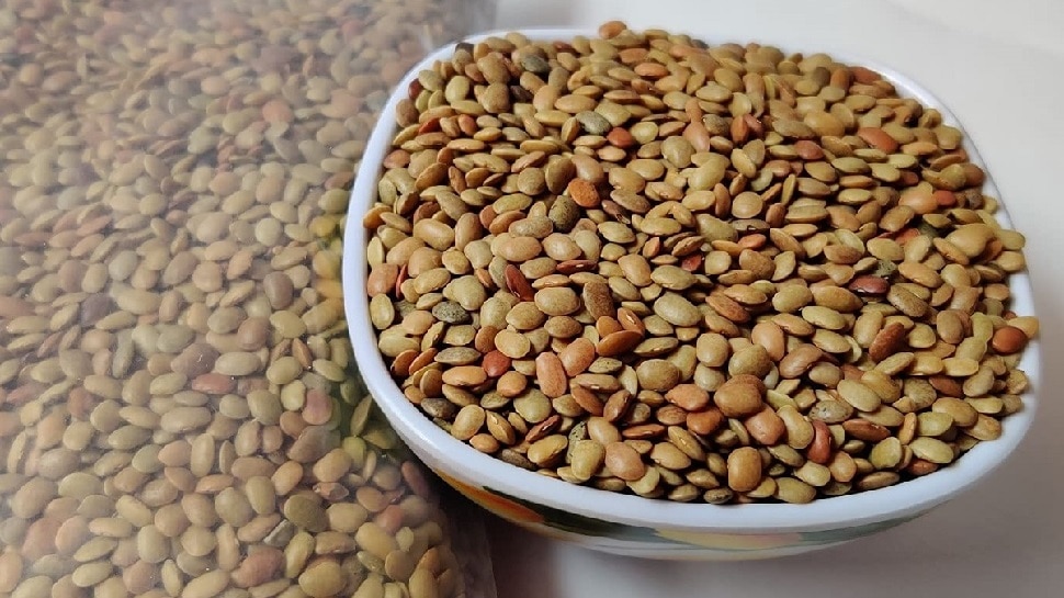 Kulthi Dal Benefits 100 Grams Of Kulthi Dal Has Protein As Much As In kulthi-dal-benefits-100-grams-of-kulthi-dal-has-protein-as-much-as-in