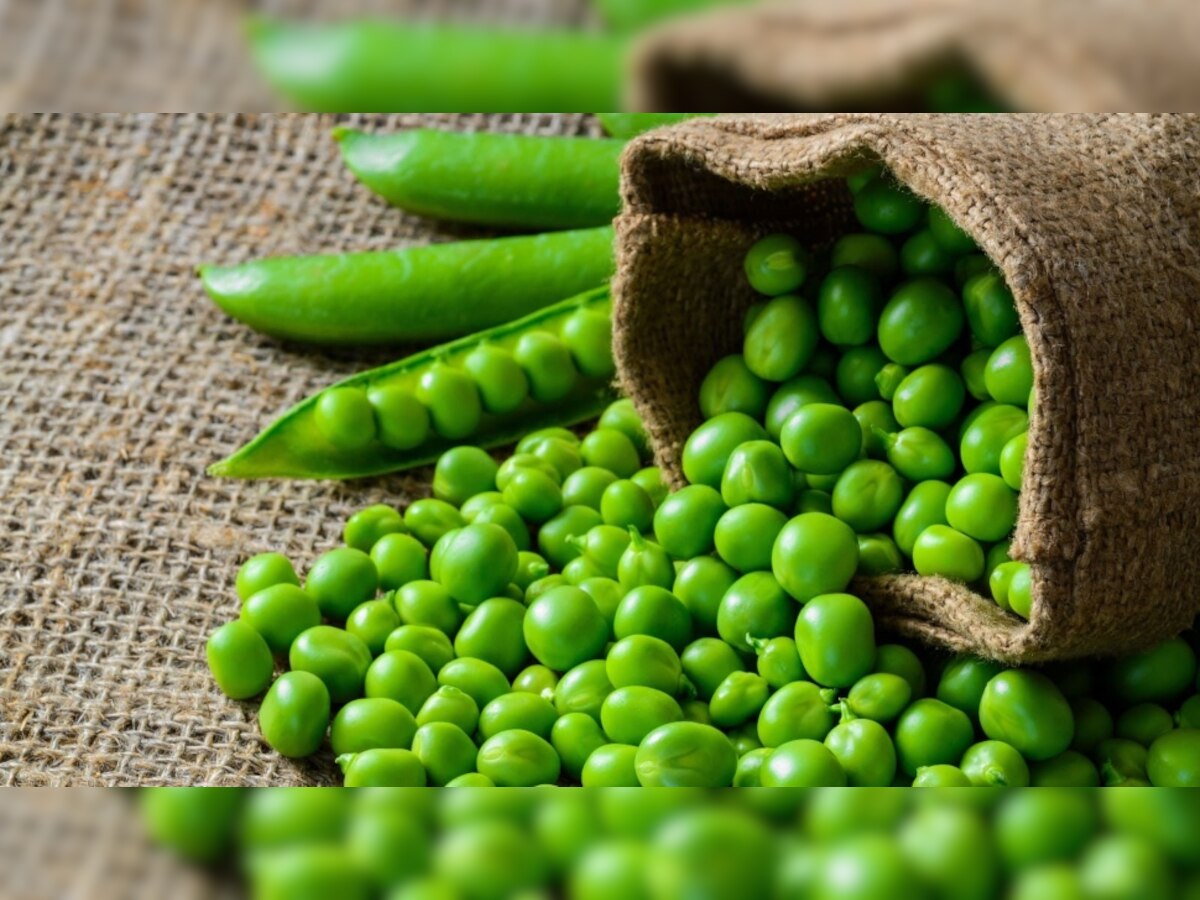 Green peas side effect: हरी मटर खाने से सेहत को होते हैं ये गंभीर नुकसान, ये लोग भूलकर भी न खाएं