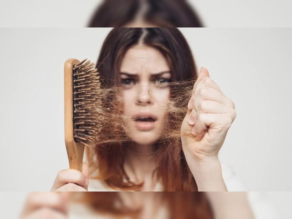 Food For hair Fall Control: गंजेपन को दूर करते हैं ये सुपरफूड्स, आज से ही खाना शुरू करें, झड़ते बालों से मिलेगी निजात