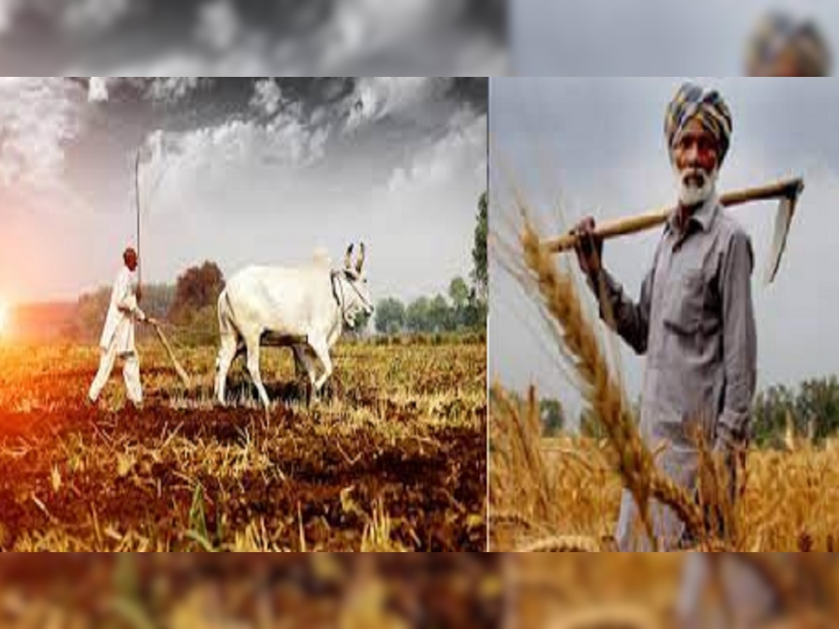 PM Kisan Yojana : किसान जरूर कर लें ये काम, नहीं तो 13वीं किस्त से रह जाएंगे वंचित