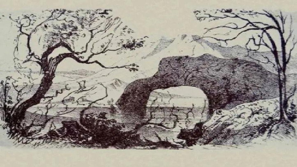 Optical Illusion: इस तस्वीर में छिपे हैं 9 जानवर और एक इंसान, देखकर आप भी हो जाएंगे हैरान