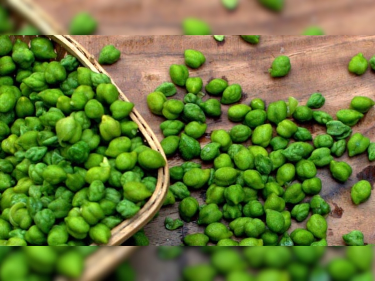 Green Chickpeas Benefits: हरे चने को भिगोकर खाने से मिलते हैं चौंकाने वाले फायदे, रहेंगी कई बीमारियां दूर