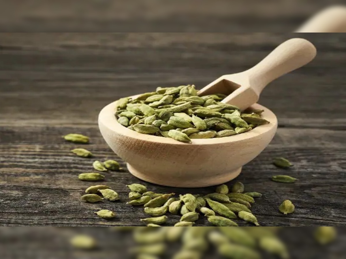 Cardamom Benefits: बड़ी बीमारियों में असरदार है छोटी इलायची, पाया जाता है कैंसर कोशिकाओं से लड़ने का गुण