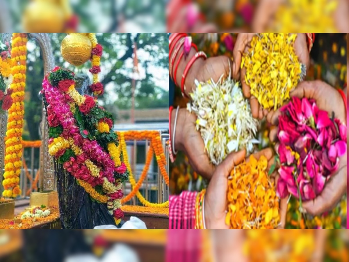 Shanidev को करना है प्रसन्न तो इस रंग का फूल करें अर्पित, साथ ही जानें कौन से देवी-देवताओं को चढ़ाएं कौन से रंग का फूल 