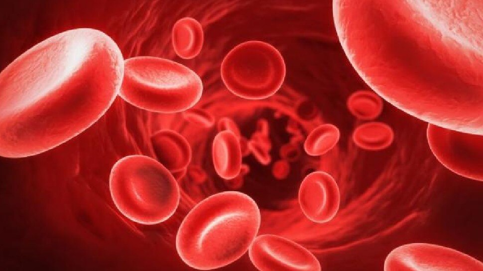 Hemoglobin Level: बॉडी में हीमोग्लोबिन स्तर को मेंटेन रखेंगे यह 5 फूड, रोजाना खाएं