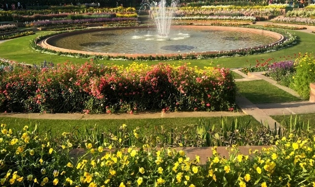 Mughal Garden का बदला गया नाम, अब इस नाम से जाना जाएगा उद्यान