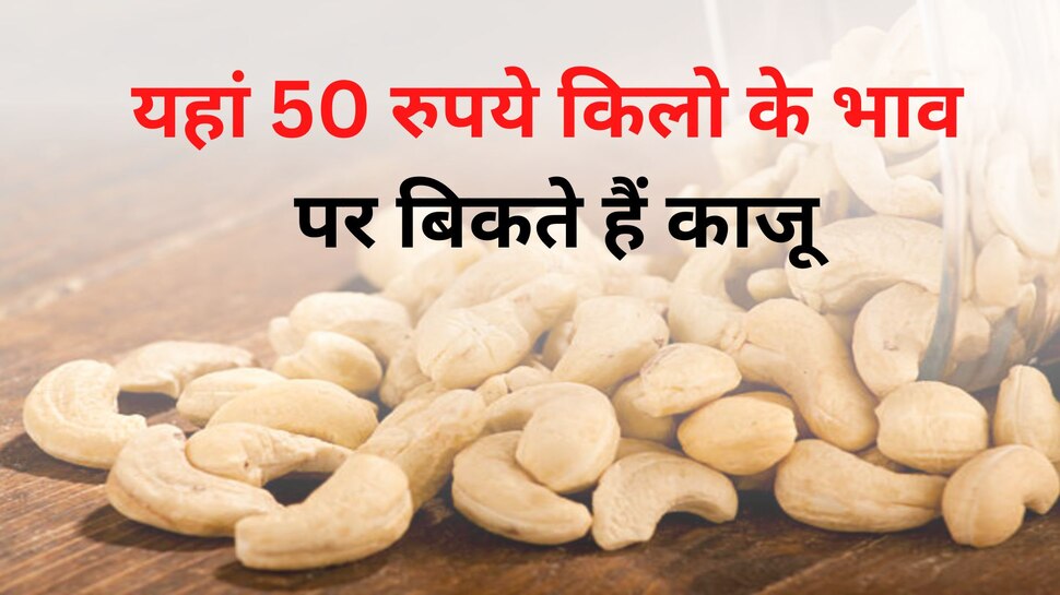 Cheapest cashew in india: भारत के इस शहर में आलू-प्‍याज के भाव बिकता है काजू, झोली भर खरीद सकते हैं आप