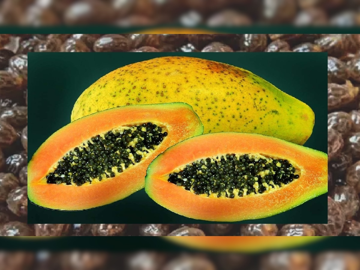 papaya seeds benefits for health papite ke beej ke fayde diet tips for ...