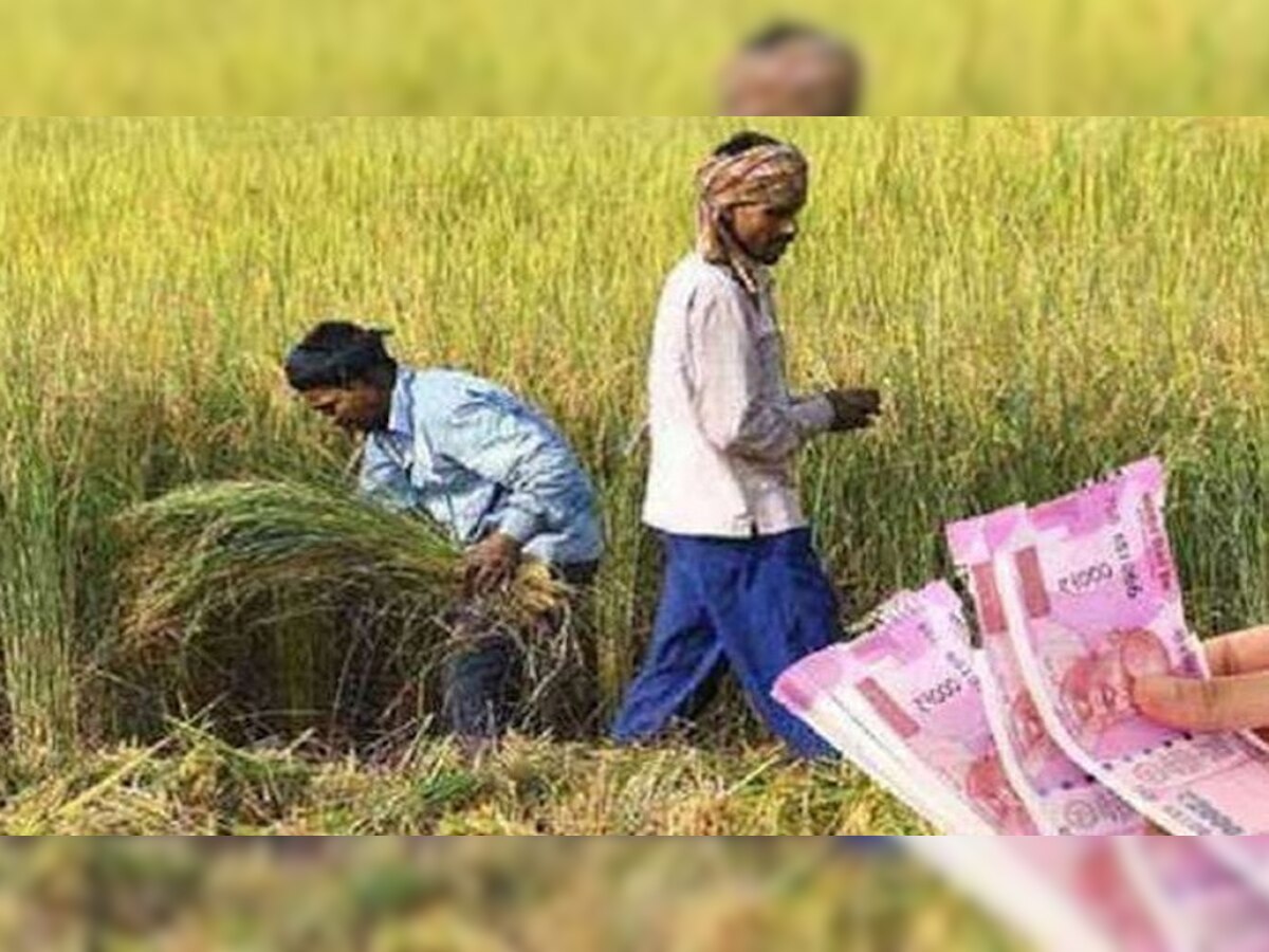 PM Kisan Yojana update: 13वीं किस्त का उठाना है लाभ तो किसान करवा लें ये काम, फरवरी में जानें कब आएगी किस्त 