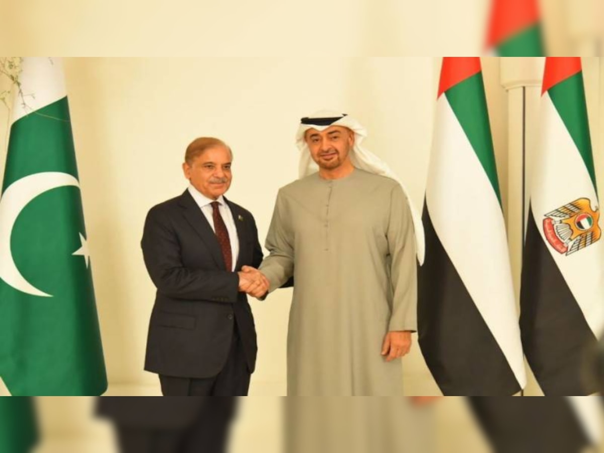 पाकिस्‍तानियों की टूटी उम्मीद; UAE राष्ट्रपति का  Pakistan दौरा स्थगित