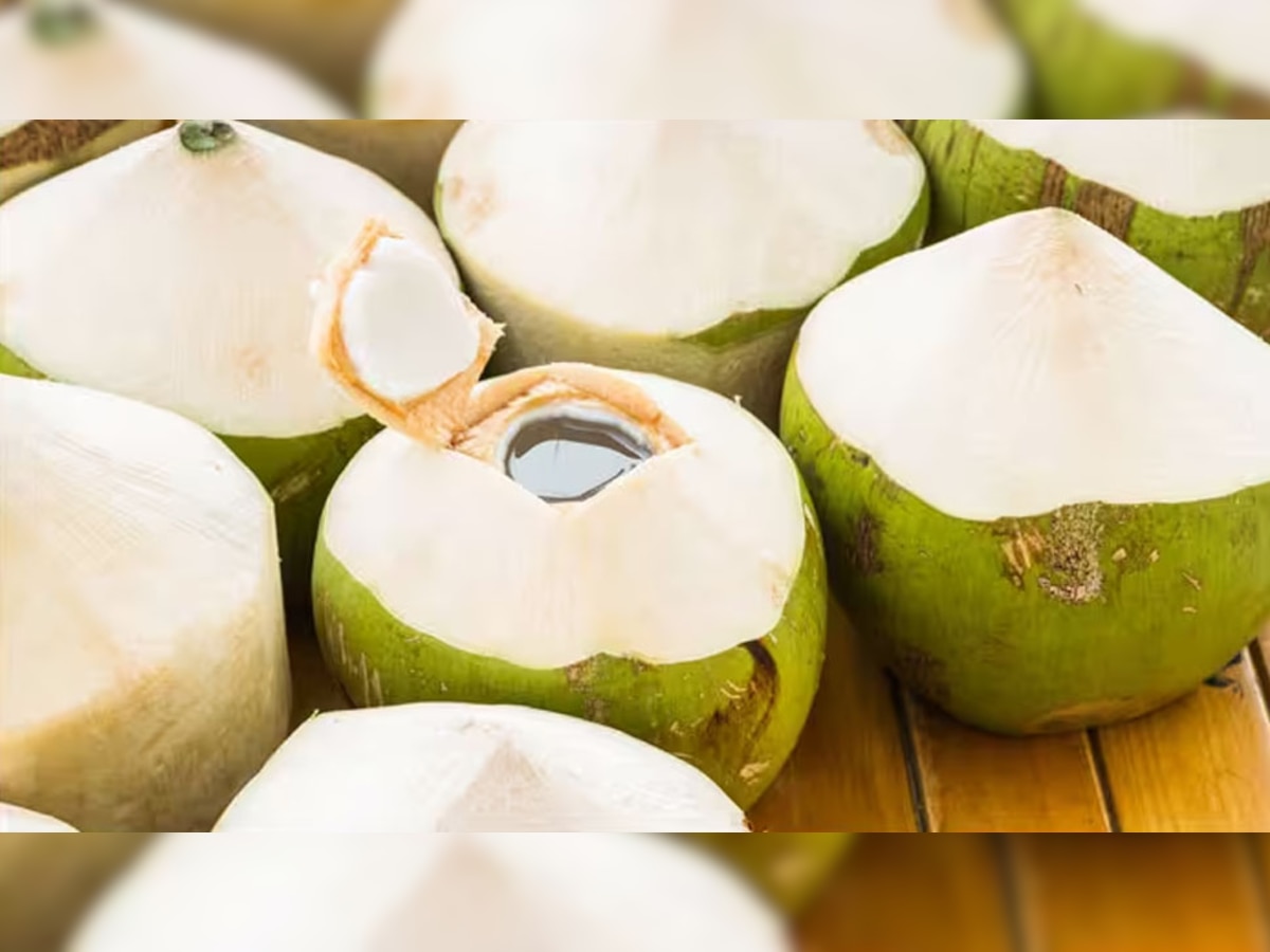 Disadvantages of Coconut Water: क्या आप भी रोजाना पीते हैं नारियल पानी? हो सकते हैं इन 4 बड़ी बीमारियों के शिकार