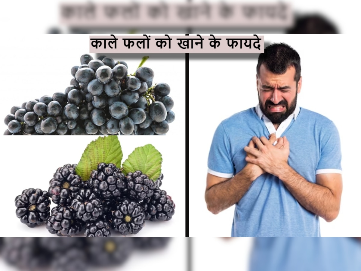 Black Fruits: कोलेस्ट्रॉल और डायबिटीज के दुश्मन हैं ये काले फल, खाने से दूर रहेंगी बड़ी बीमारियां 