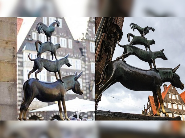 गधे के ऊपर कुत्ता, उसके ऊपर बिल्ली और बिल्ली के ऊपर क्यों बैठा है मुर्गा? दिलचस्प है कहानी