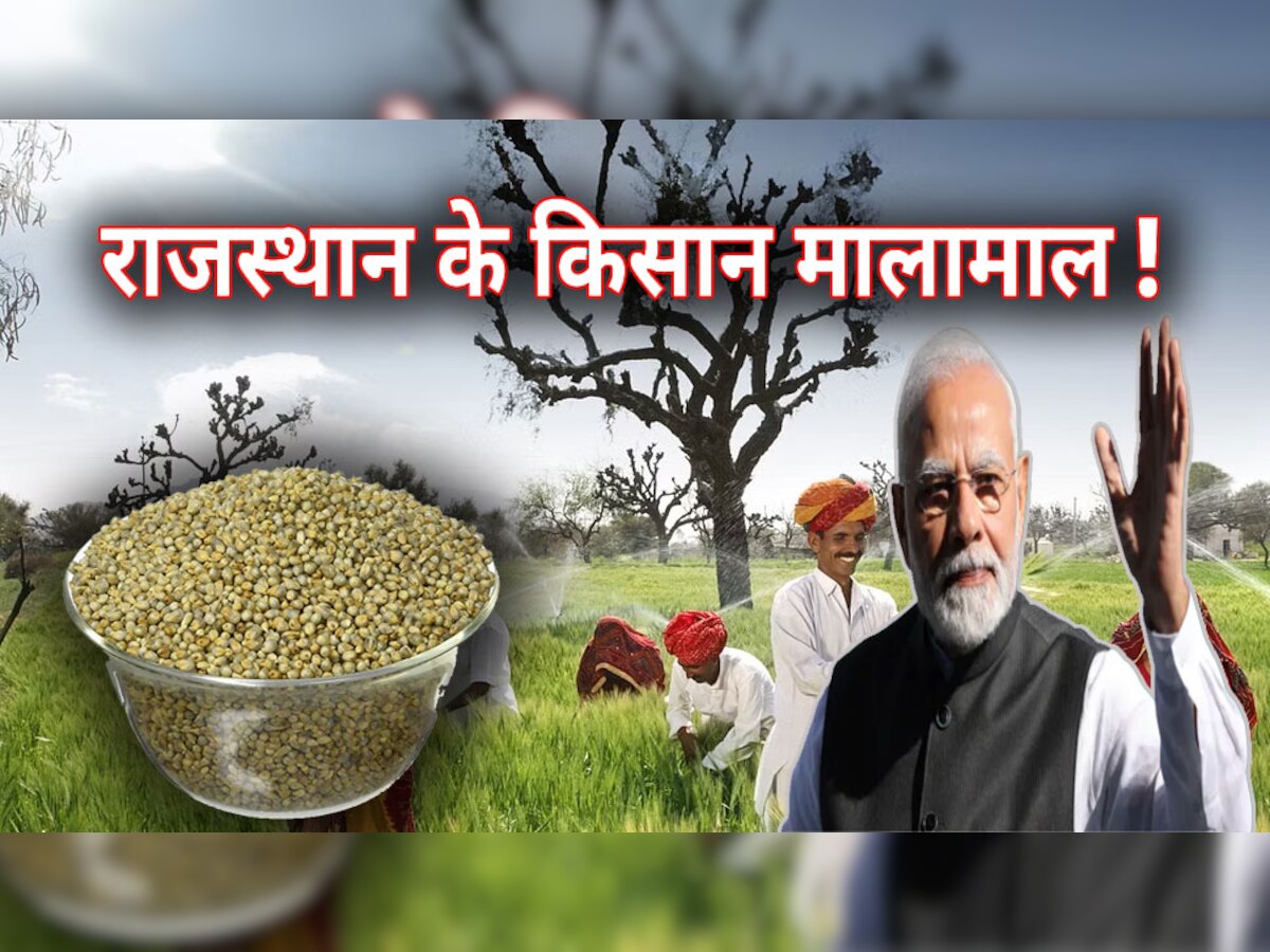 Budget 2023 : बाजरे पर मोदी सरकार का बड़ा ऐलान, अब राजस्थान के किसान होंगे मालामाल