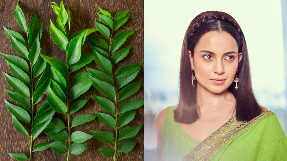 How To Get Shiny Hair: Kangana Ranaut जैसे स्ट्रॉंग और शाइनी हो जाएंगे बाल, बस हेयर केयर में आजमाएं करी पत्ता