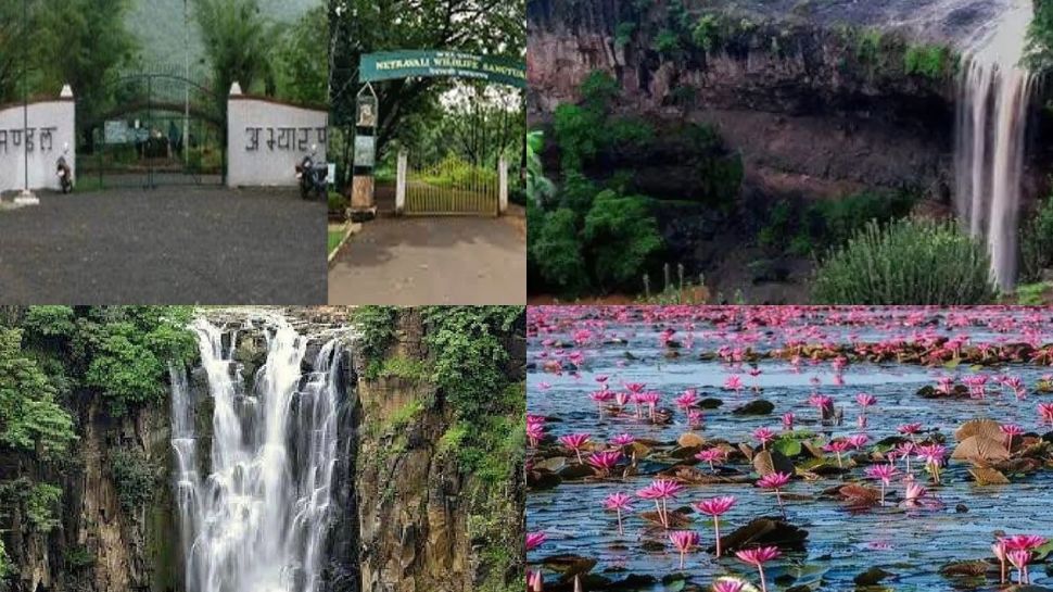 Valentine Day 2023 Best And Cheap Romantic Places In Indore Visit With Valentine Day 2023 Best And Cheap Romantic Places In Indore Visit With