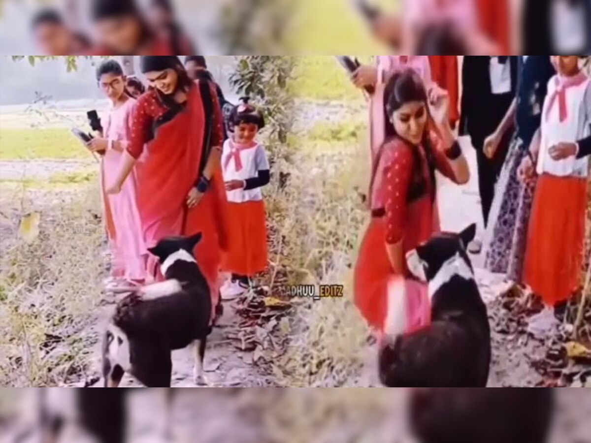Viral Video: कुत्ते के सामने ही लड़की ने किया रोमांटिक डांस, तो उसने भी कर दी यह हरकत