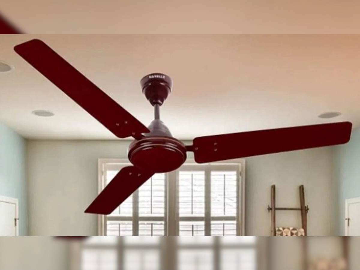 Ceiling Fans: भारत में 3 और पश्चिमी देशों में 4 ब्लेड वाले पंखे क्यों होते हैं इस्तेमाल? क्या आप जानते हैं इसके पीछे का लॉजिक, आज जान लीजिए वजह