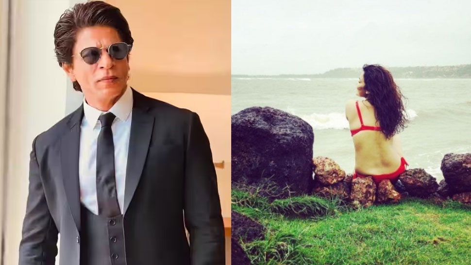 Sidharth-Kiara से पहले शुरू हुए Shah Rukh Khan की इस एक्ट्रेस की शादी के फंक्शन, होने वाले पति संग शेयर की कोजी फोटो
