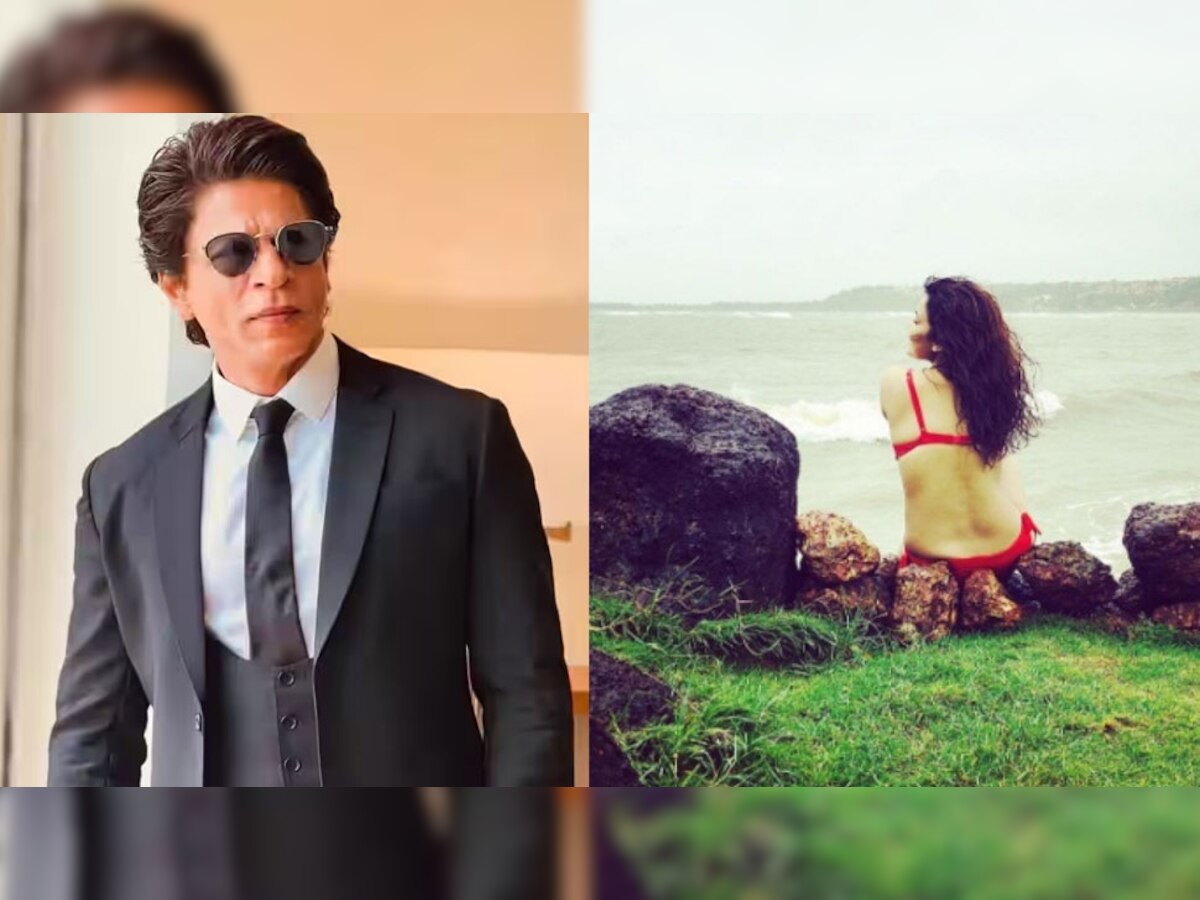 Sidharth-Kiara से पहले शुरू हुए Shah Rukh Khan की इस एक्ट्रेस की शादी के फंक्शन, होने वाले पति संग शेयर की कोजी फोटो