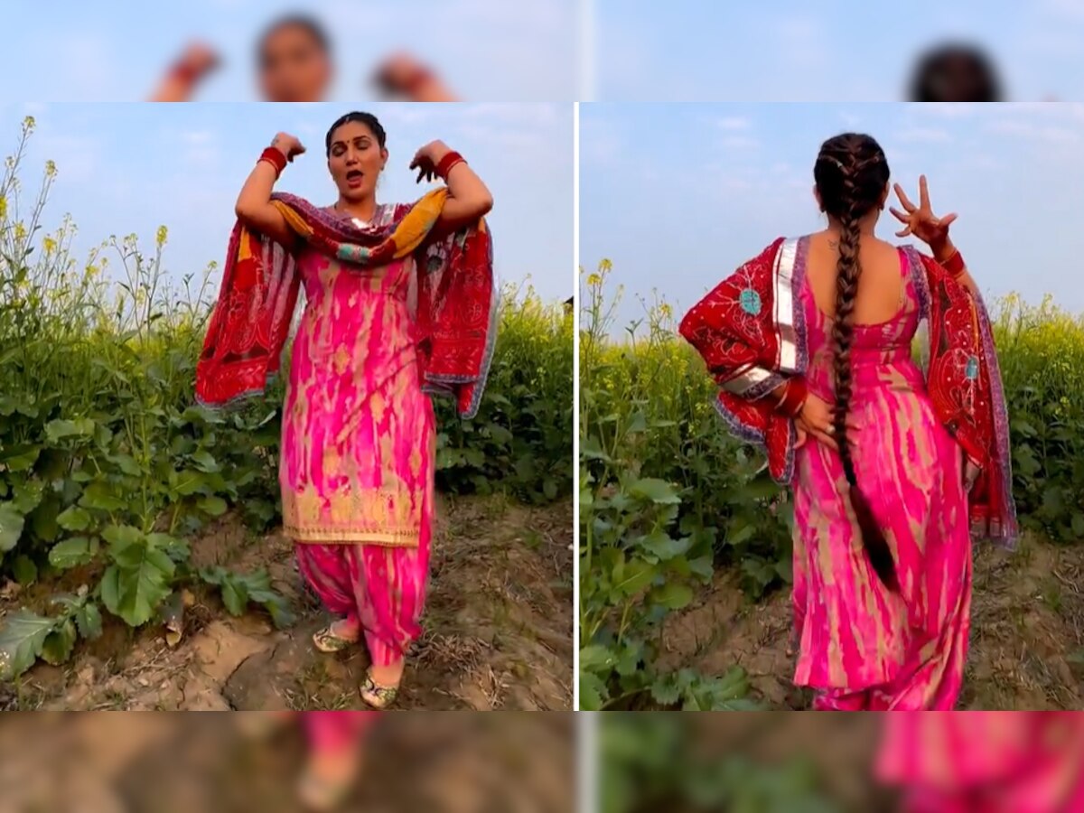 सरसों के खेत में Sapna Choudhary ने किया ऐसा धमाकेदार डांस, Video देखकर लोग बोले- असली क्वीन...