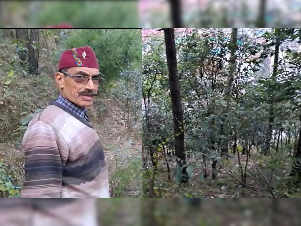 Uttarkashi: पर्यावरण प्रेमी ने जिंदगी के 33 साल खपाकर खड़ा कर दिया जंगल, जानें जोशीमठ संकट के बीच क्यों सुर्खियों में आए प्रताप पोखरियाल