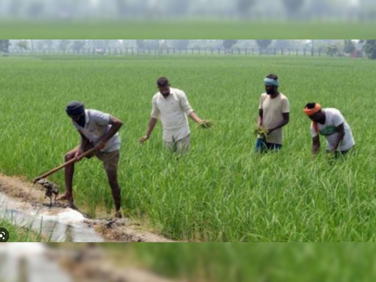 PM Kisan Samman Nidhi :मुर्दे भी ले रहे थे किसान सम्मान निधि, अब तक 25 लाख की हुई रिकवरी
