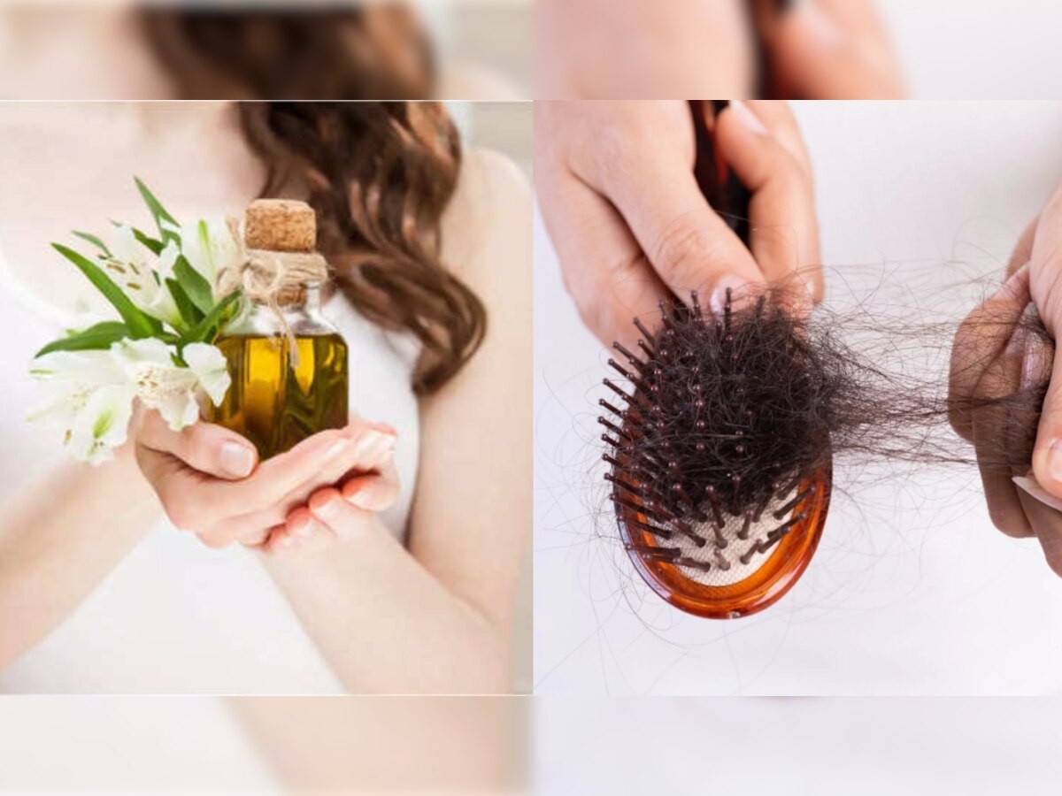 Hair Fall Control Solution: घर पर बनाएं जड़ी बूटियों वाला तेल, पीसीओडी से झड़ते टूटते बाल भी हो जाएंगे Stop 