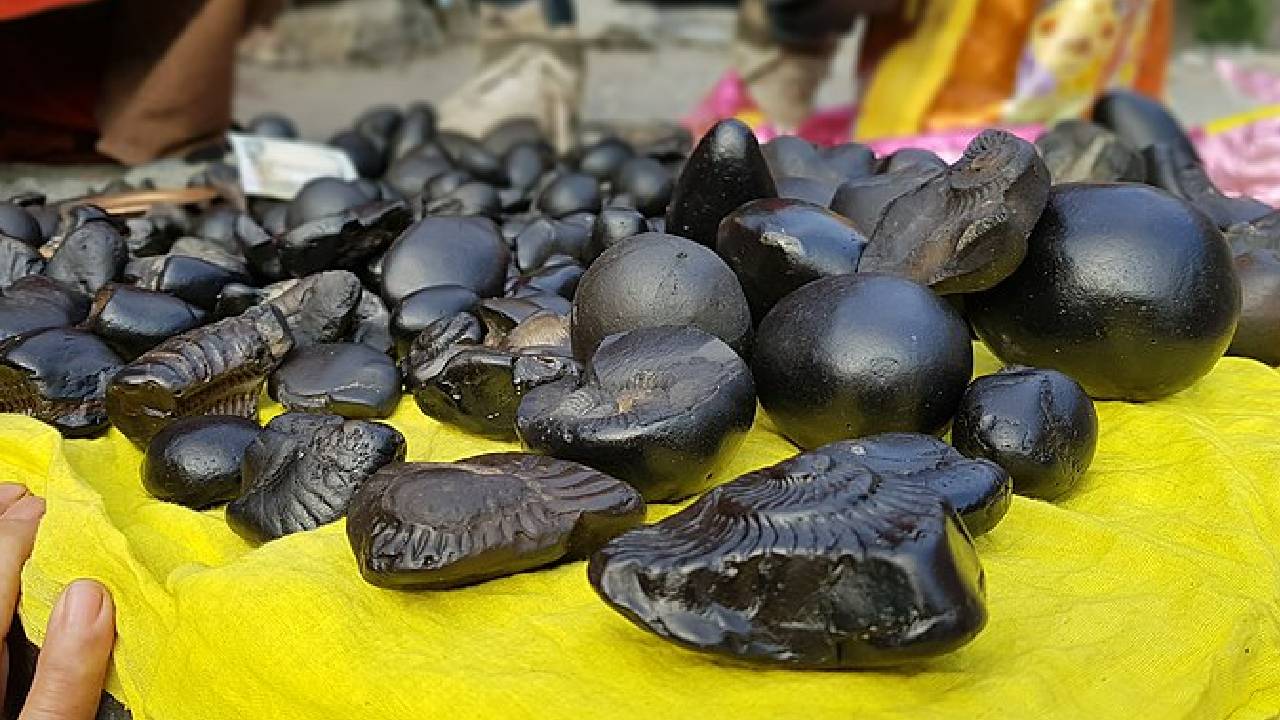 Shaligram Stone: जानें क्या है शालिग्राम जिससे आती है बेशुमार धन-दौलत,  ये है घर में रखने के 4 फायदे