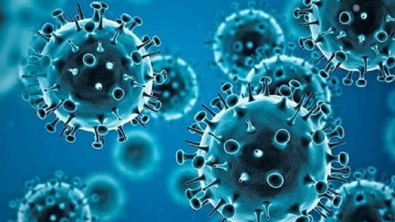 Coronavirus variant: फिर से कोरोना के पुराने वैरिएंट मचाएंगे दुनिया में तबाही, वैज्ञानिकों ने सबूत देकर दी चेतावनी