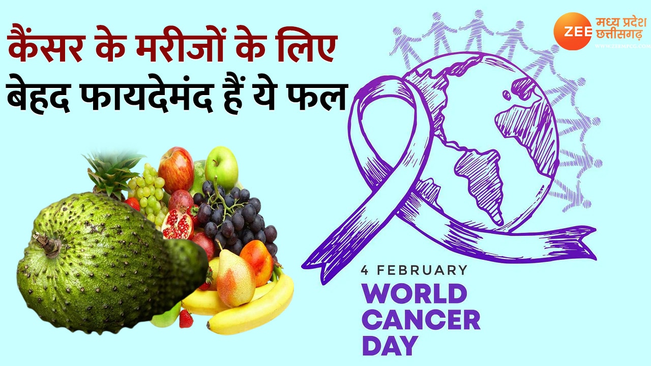 World Cancer Day 2023 These fruits very beneficial for cancer patients