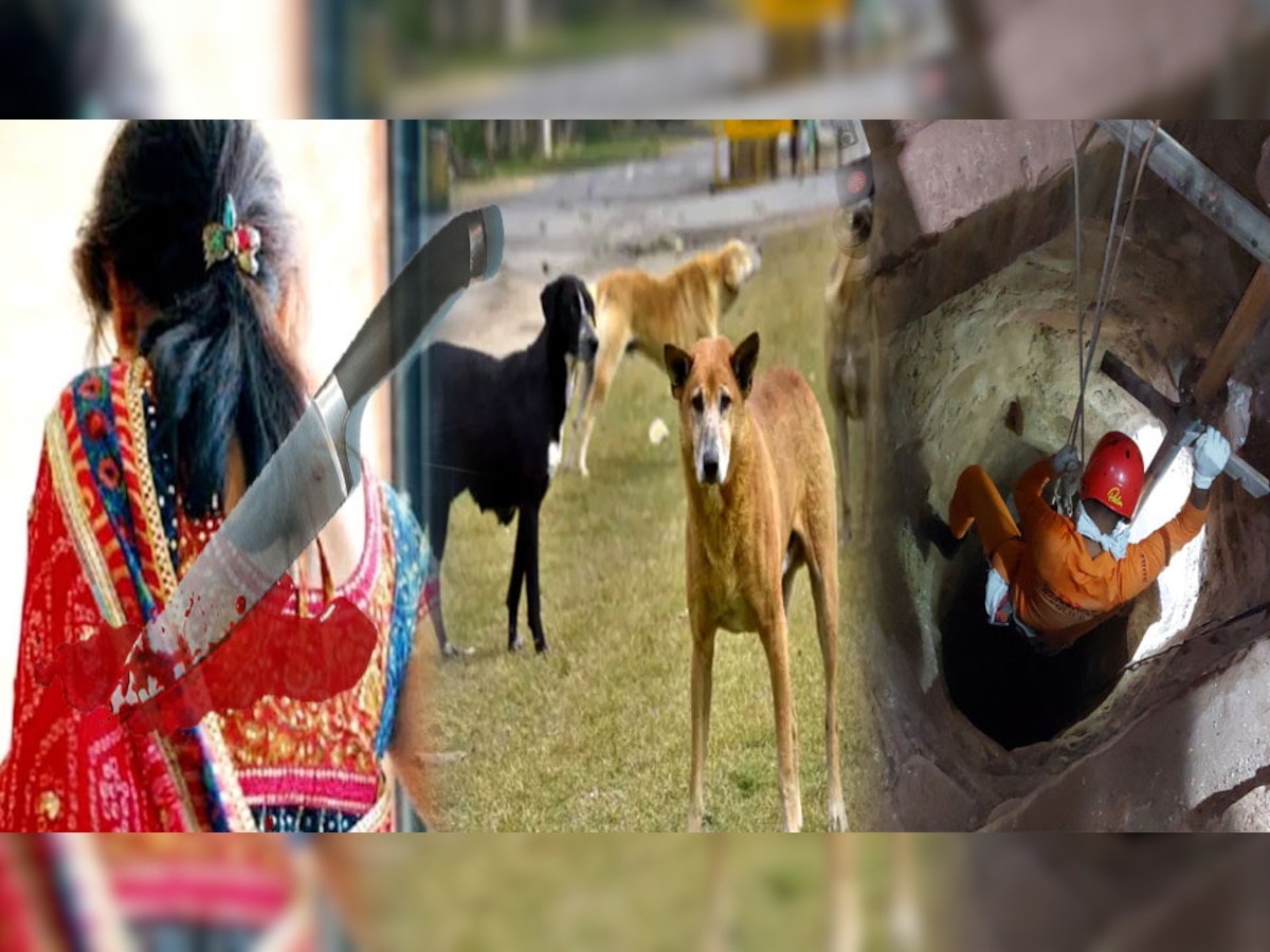 नागौर में युवती की हत्या में बेरहमी की हदें पार, शव के टुकड़े कर कुत्तों को डाल दिया, पुलिस को किया गुमराह