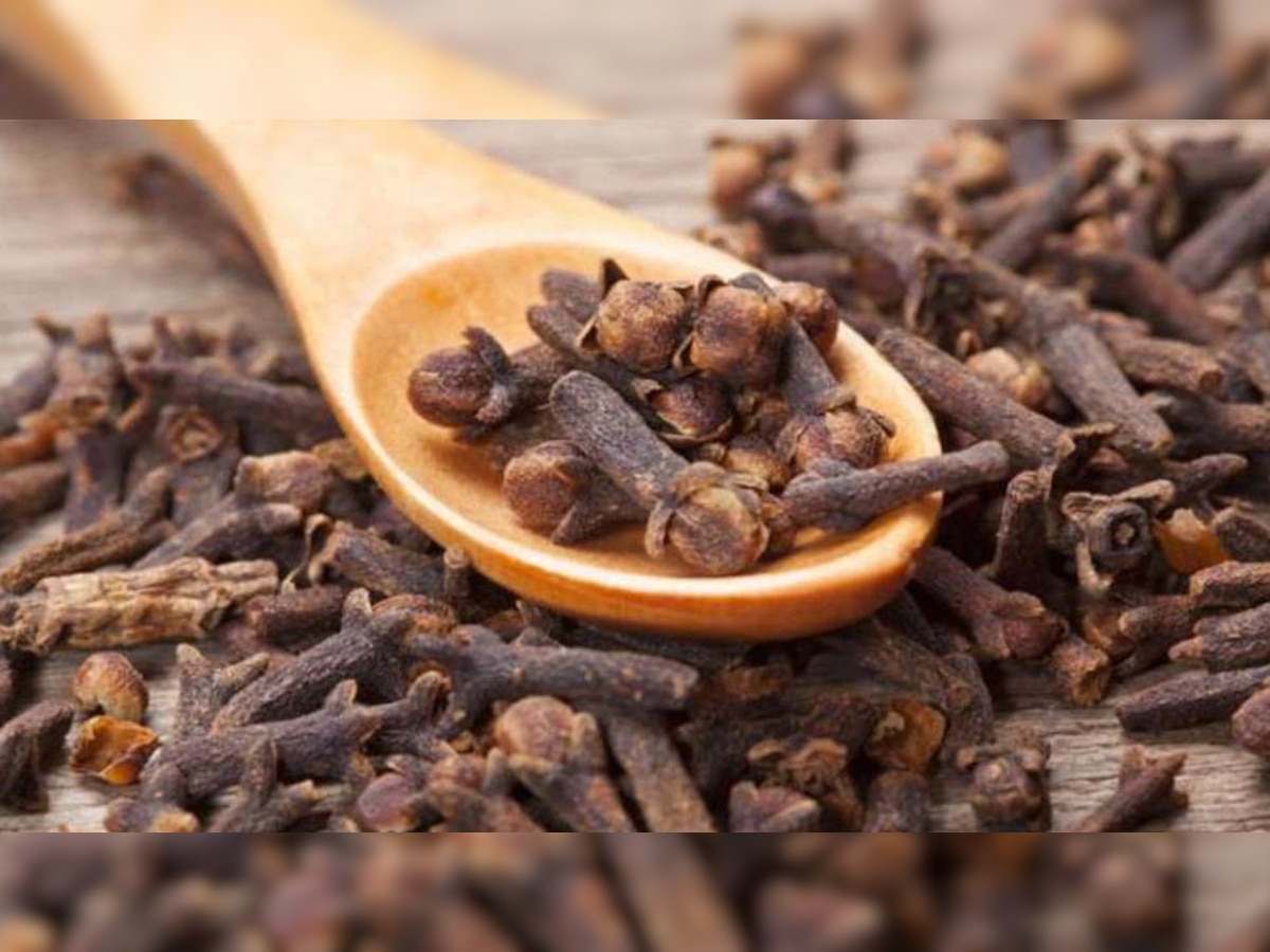 Benefits Of Clove: इस वक्त चबा लें छोटी सी लौंग, मिलेंगे हैरान कर देने वाले फायदे