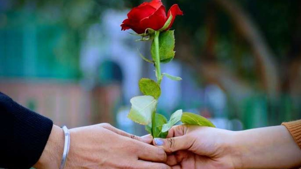 Rose Day 2023 Special Love Shayari whatsapp Quotes wishes pic in ...