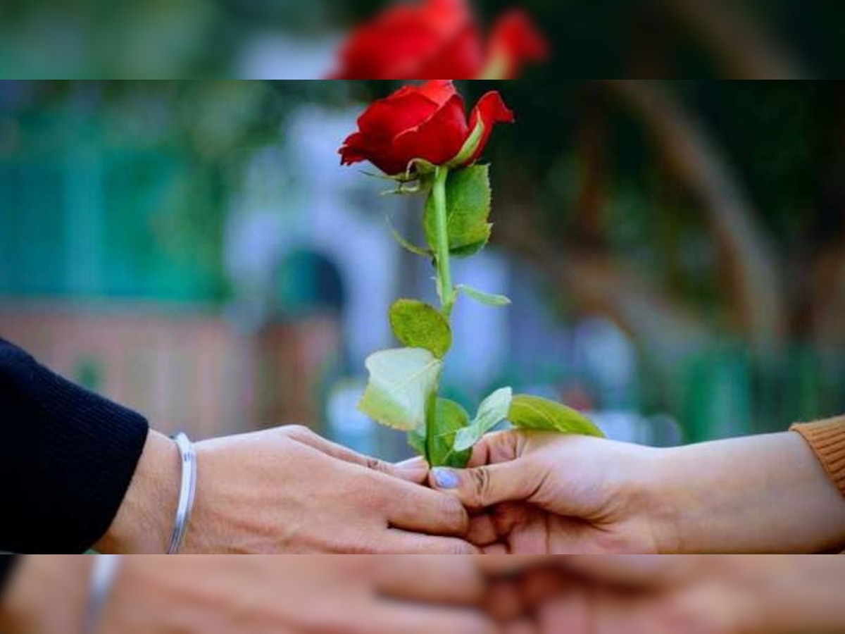 Rose Day 2023 Wishes: रोज डे पर इन प्यार भरी 10 शायरी से कहें दिल की बात, दिन बन जाएगा खास