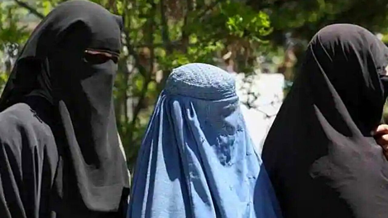 तालिबान शासन में अकेली महिला और विधवाओं का जीवन दूभर, भूखे मरने की नौबत