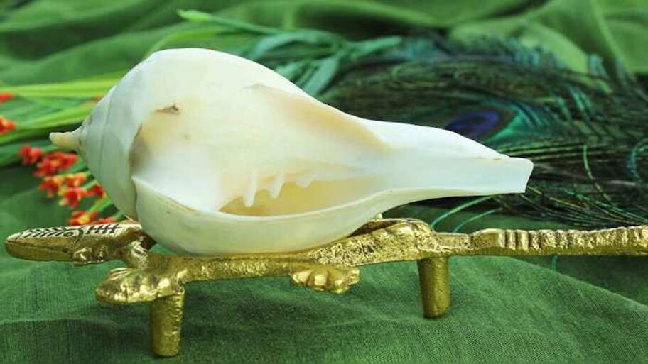 shankh ke upay Miraculous this conch shell found from Samundra Manthan ...