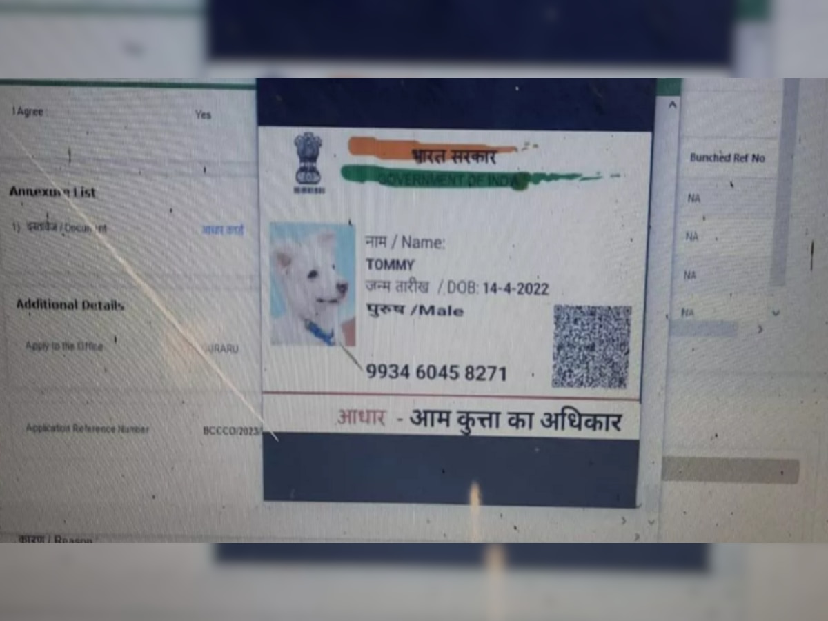 Bihar Viral Dog Caste Certificate: बिहार में कुत्ते के जाति प्रमाण पत्र के लिए ऑनलाइन आवेदन, आधार कार्ड की तस्वीर वायरल 