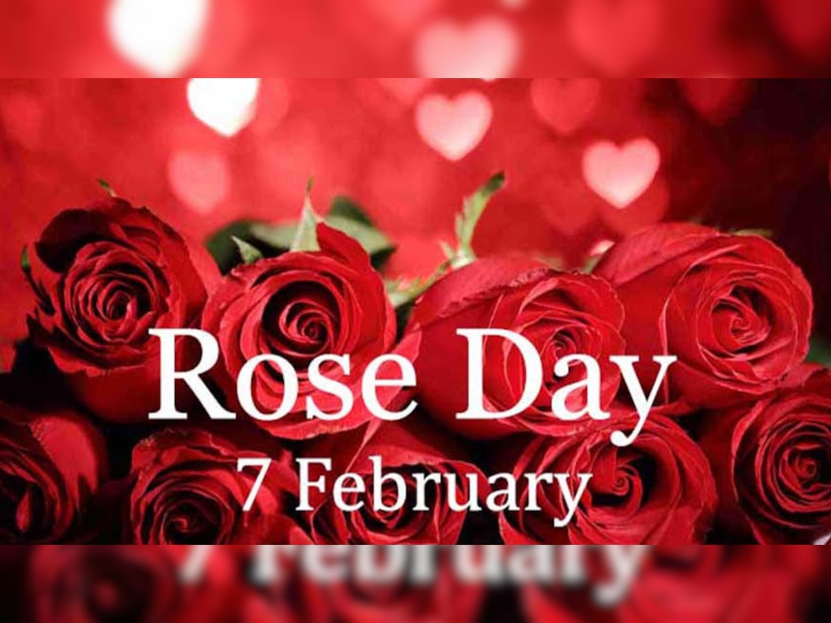 Rose Day के मौके पर अपने क्रश को भेजें ये 10 प्यार भरे मैसेजेज, बेझिझक कहें दिल की बात
